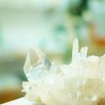 大地の恵み / daichi no megumi